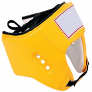 Head Guard